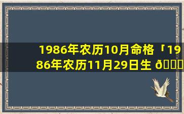 1986年农历10月命格「1986年农历11月29日生 🍁 的人的命运如何」